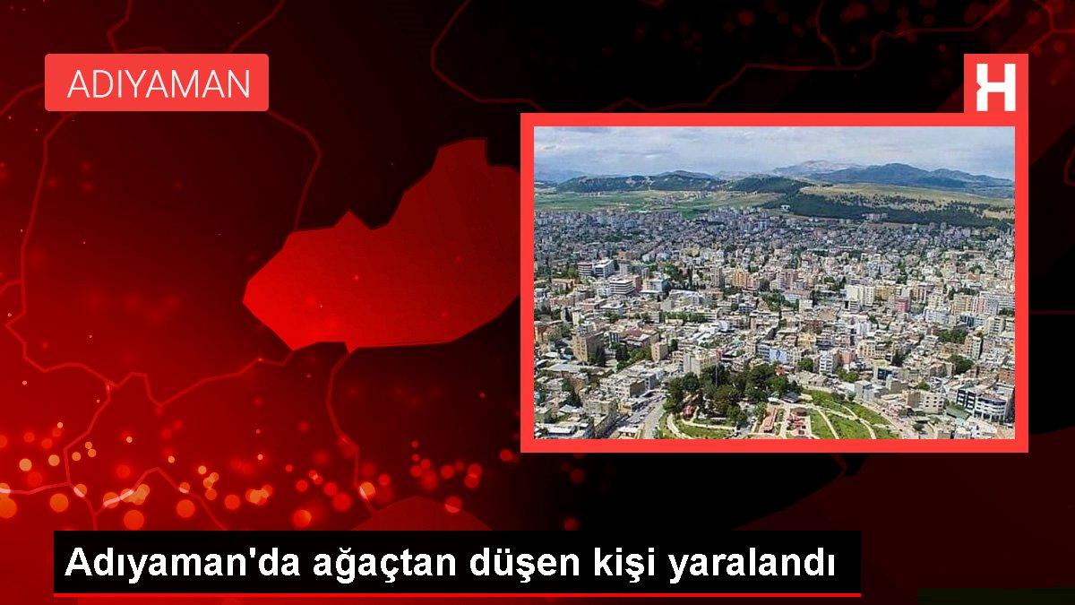 Adıyaman haberi! Adıyaman’da ağaçtan düşen kişi yaralandı