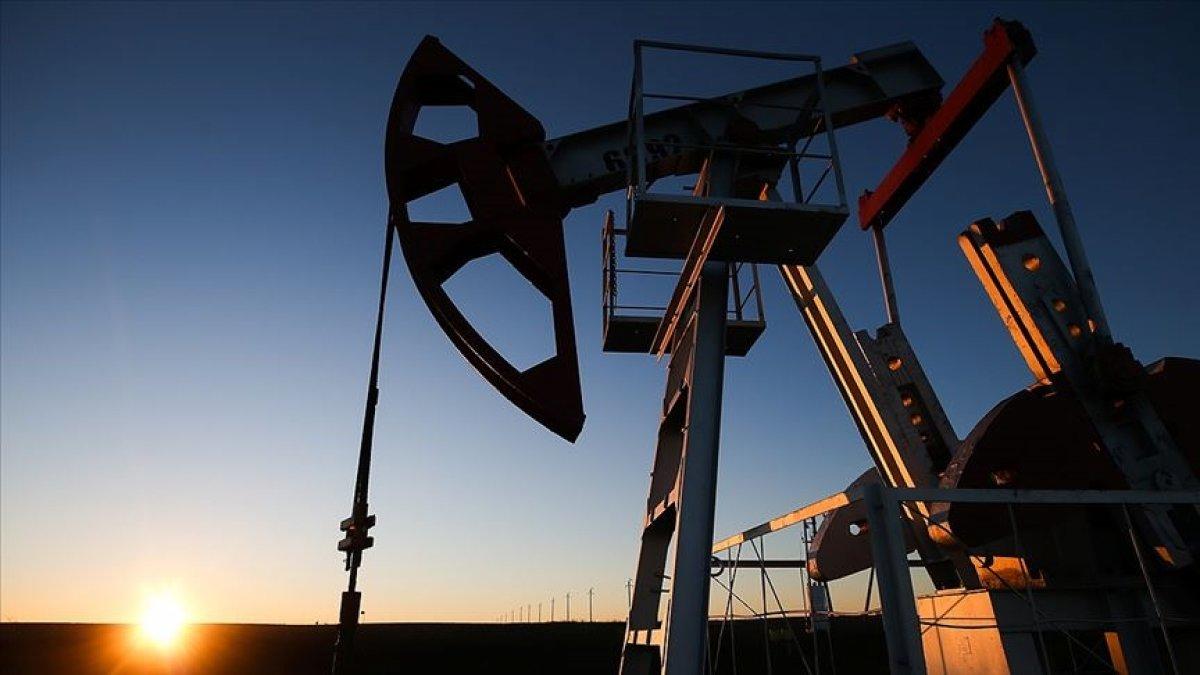 AB, Orta Doğu ve Afrika’dan petrol ithalatını artırdı