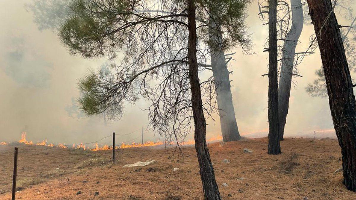 Antalya’da orman yangını: Grupların müdahalesi sürüyor