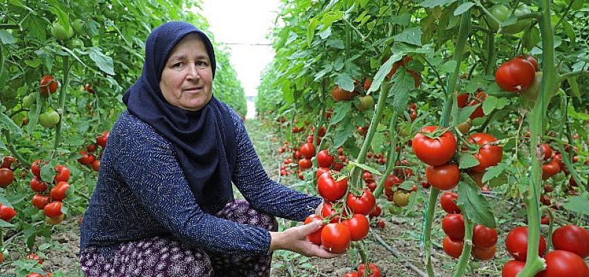 Büyükşehir’in sulama projesi Manavgat’a hayat verdi