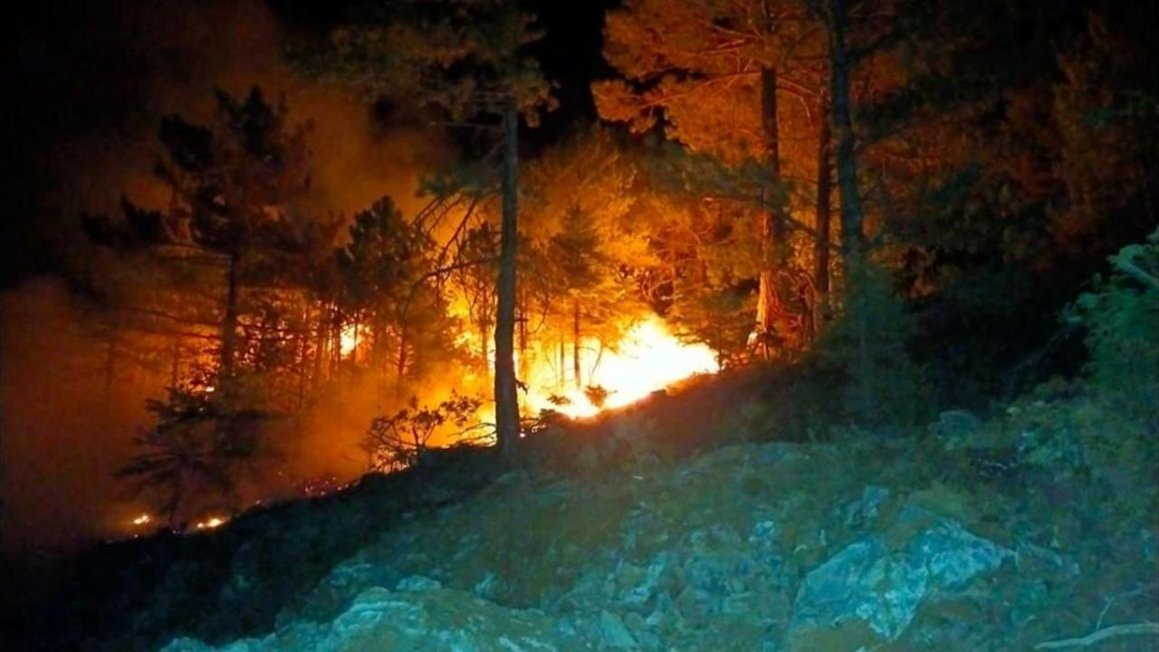 Konya’da ormanlık alanda çıkan yangın söndürüldü