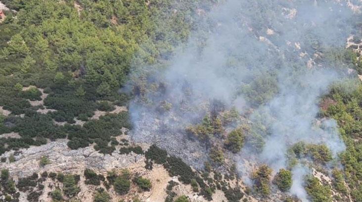 Manisa’da 10 dönüm orman yandı