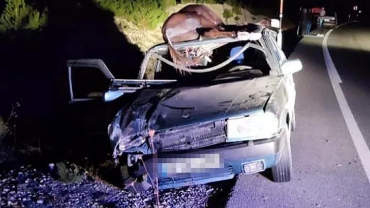 Denizli’de feci kaza: Aracın tavanına düşen eşek, ölümüne neden oldu!