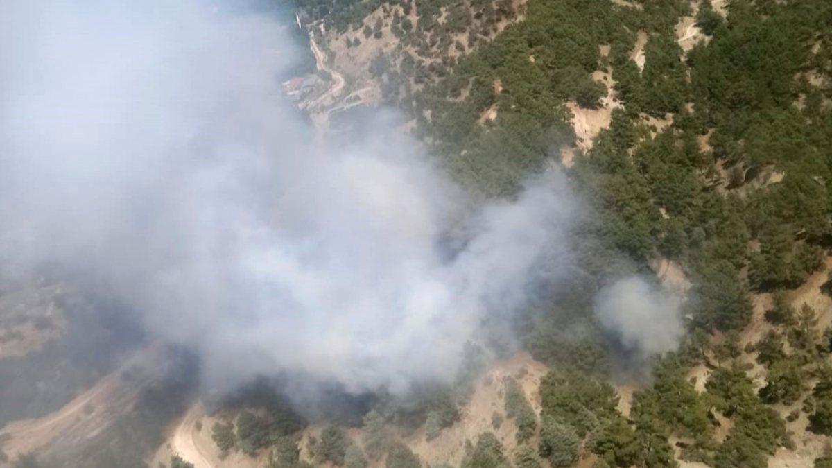 Kaş’taki orman yangınında 1 dekar alan ziyan gördü