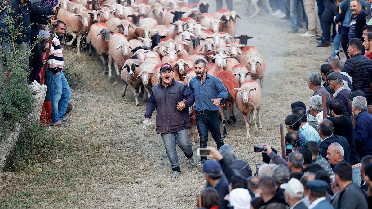 Burdur’da sudan koyun geçirme yarışı