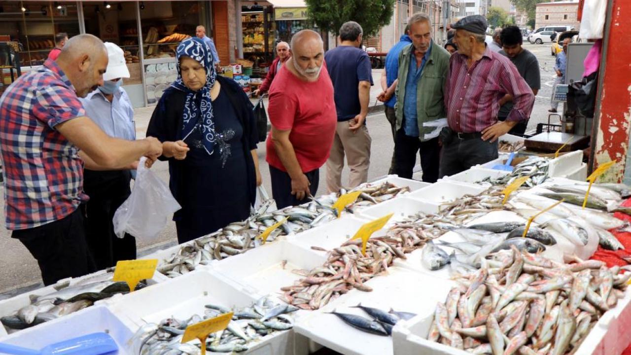 Çinekop tezgahlarda, gözler hala palamutta