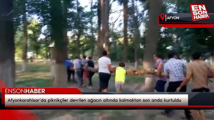 Afyonkarahisar’da piknikçiler devrilen ağacın altında kalmaktan son anda kurtuldu