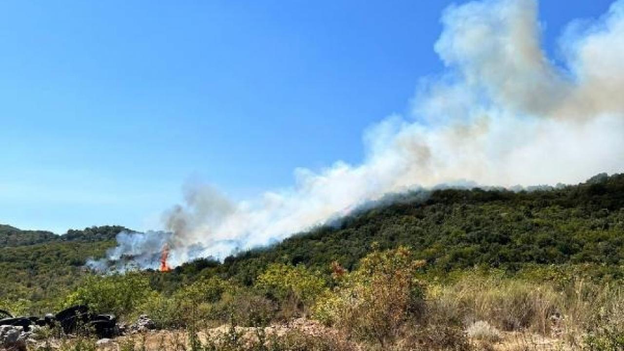 Demre’de orman yangını