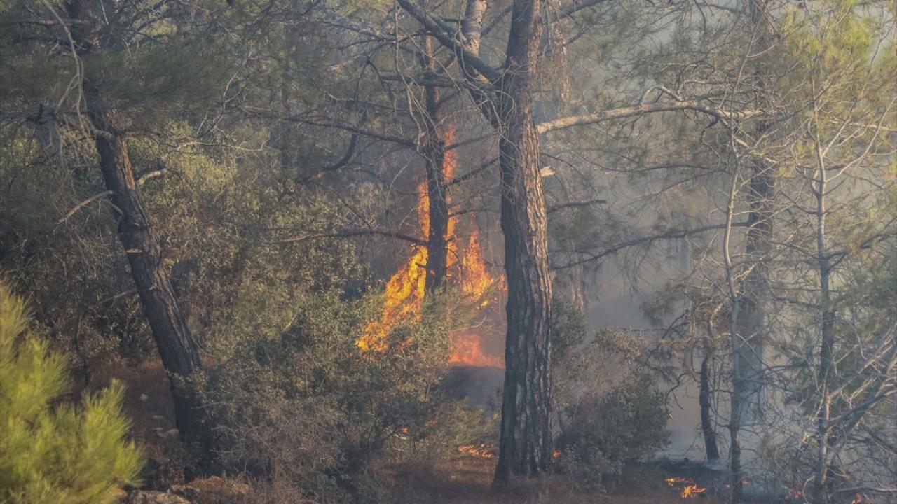 Mersin’de orman yangını, 2’nci gününde devam ediyor