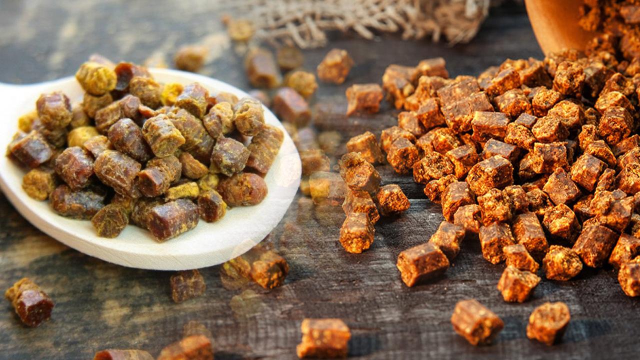 Arı ekmeği faydaları nelerdir? Arı ekmeği nerede satılır?