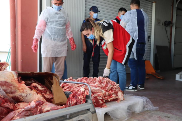 Ekipler zamanında yetişmese veremli etleri vatandaşa yedireceklerdi