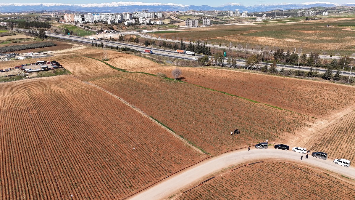 Adana’da 4 günlük zirai don üreticileri zarara soktu