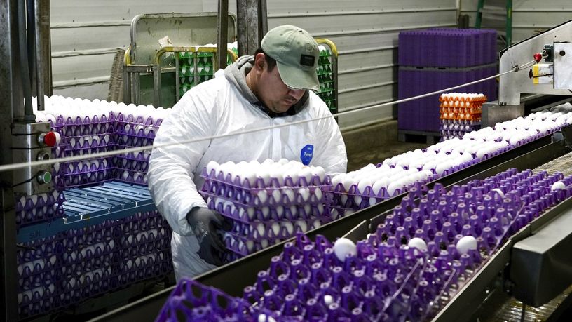 Brezilyalı yumurta kralı ABD’li şirketi 1.1 milyar dolara satın alıyor