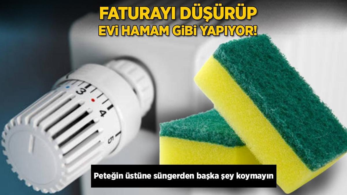 Faturayı düşürüp, evi hamam gibi yapıyor! Peteğin üstüne süngerden başka şey koymayın