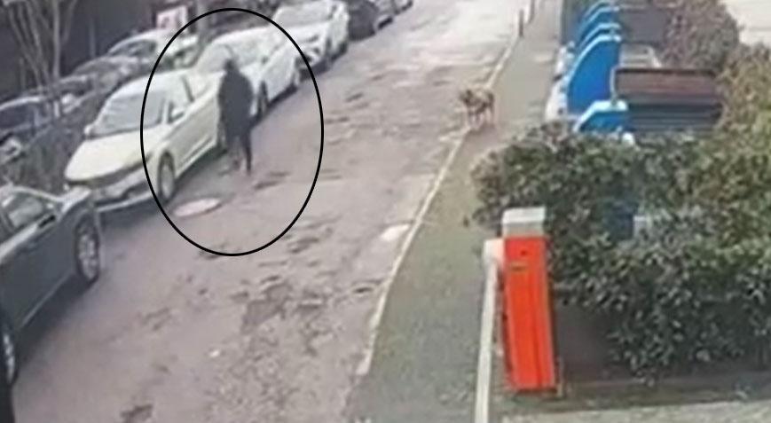 İstanbul’da sapık alarmı! Alt geçidi kullanan kadınları hedef aldı
