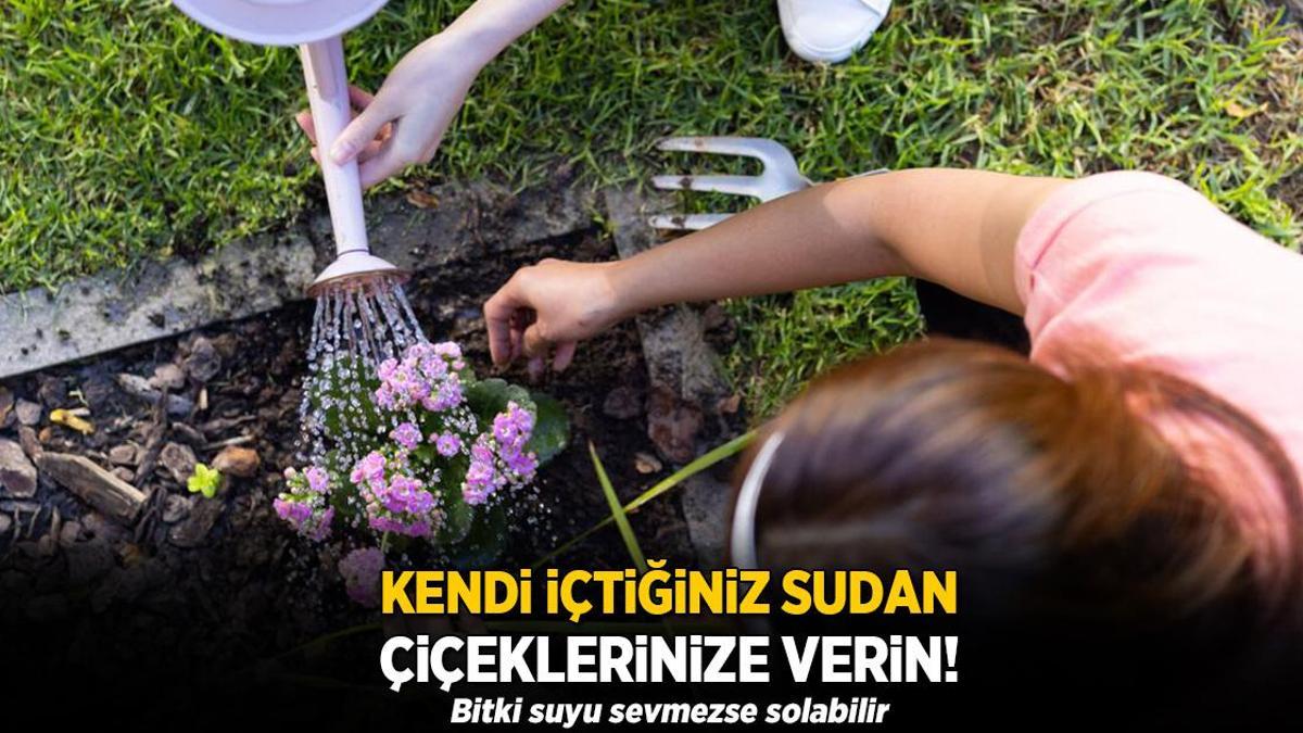 Kendi içtiğiniz sudan çiçeklerinize verin! Bitki suyu sevmezse solabilir
