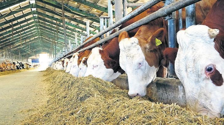 ‘Kırsalda Bereket’ başvurusu sürüyor