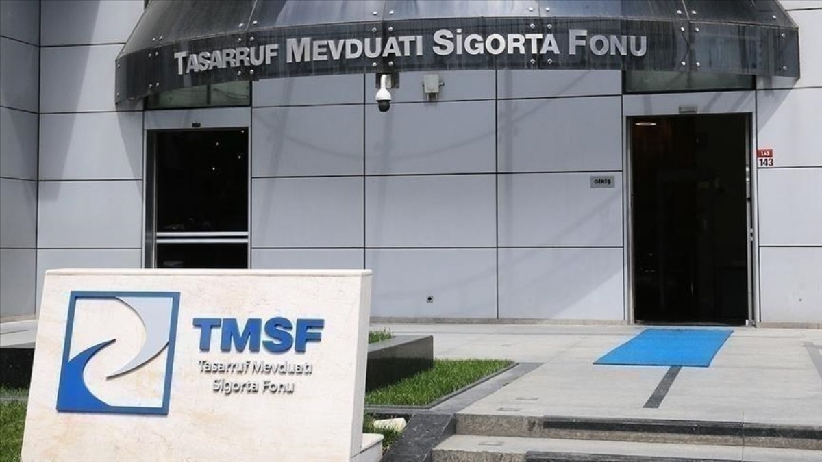 TMSF, iki enerji şirketindeki paylarını ihale ile satacak
