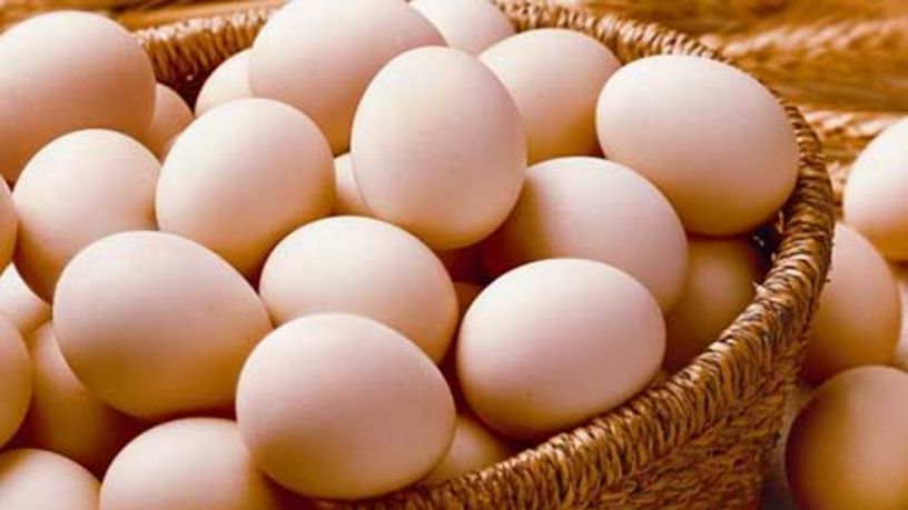 Yumurta ihracatına yönelik fon kesintisi artırıldı
