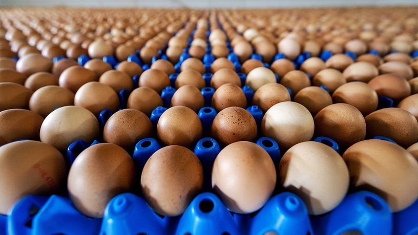 Yumurta üreticilerinden fiyat artışına yönelik açıklama