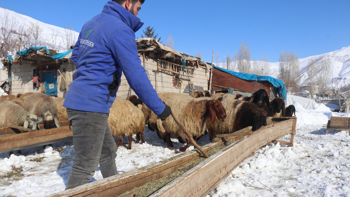 Bitlis’te besicilerin zorlu kış mesaisi