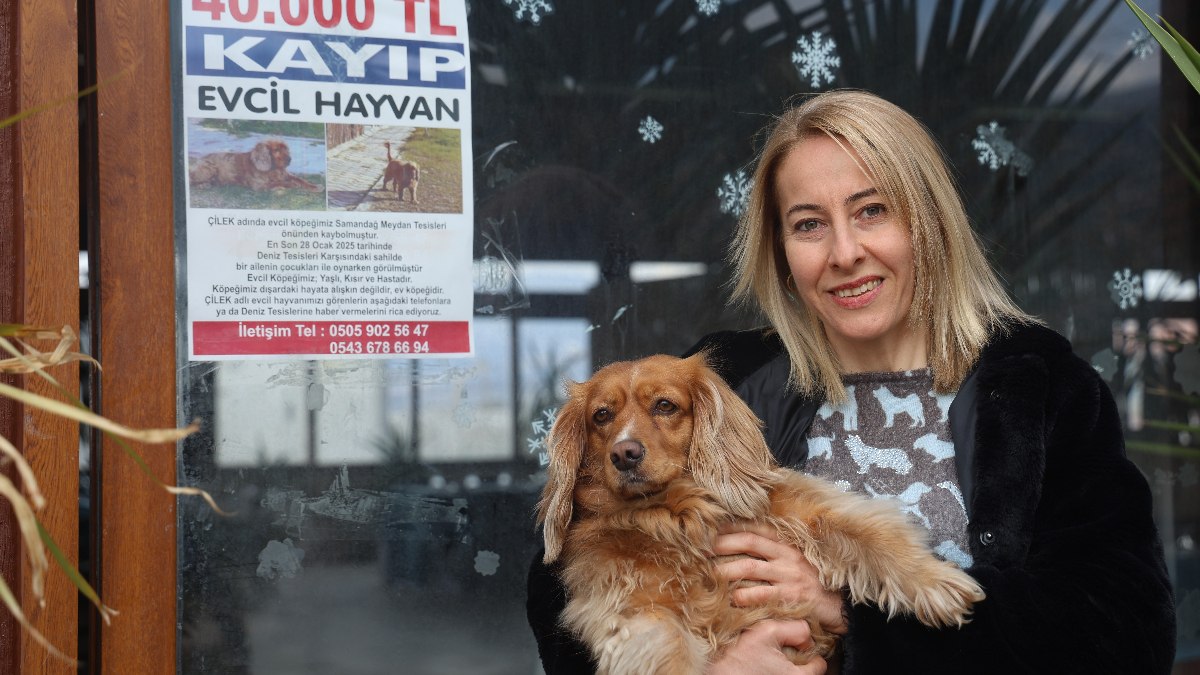 Hatay’da kayıp köpeği bulana 40 bin TL ödül
