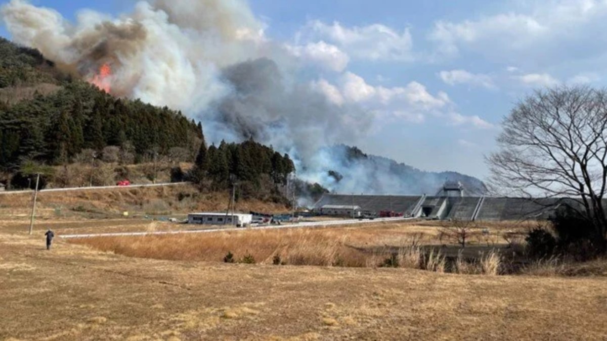 Japonya’da orman yangını:  2 bin 114 Kişiye tahliye uyarısı yapıldı