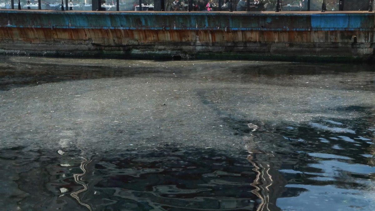Marmara Denizi ölüyor: Kadıköy sahili denizanası müsilajıyla kaplandı
