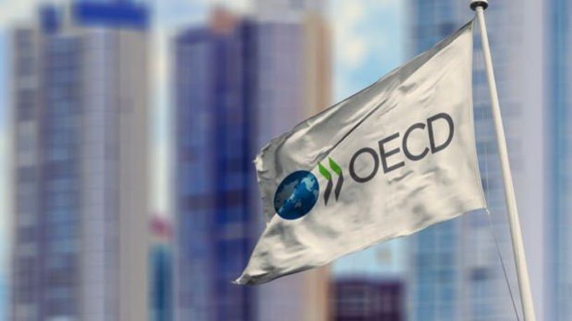 OECD’den Türkiye için büyüme ve enflasyon tahmini
